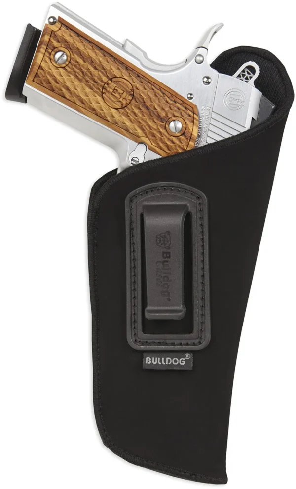 Holster In Pant
